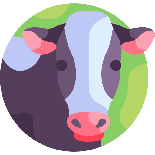 cow (1)